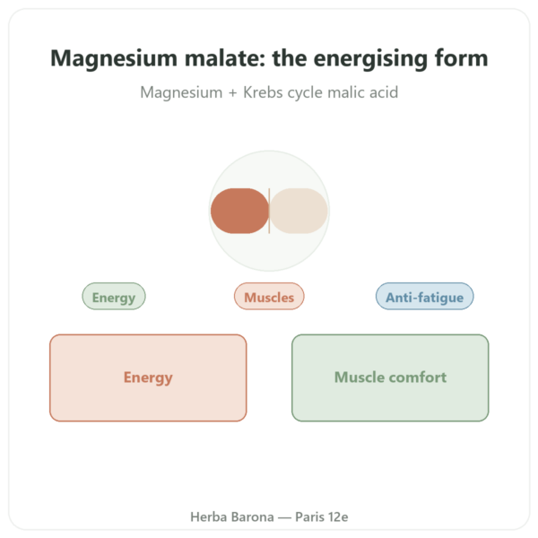 Magnesium Malate 1000 mg – Now Foods – 180 Tablets presentation Paris Herba Barona