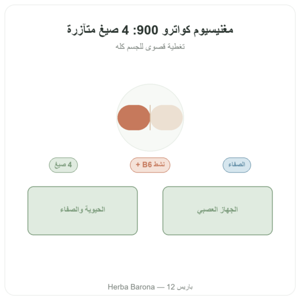 ماغنيزيوم كوترو 900 – Be-Life – 60 كبسولة عرض المنتج Paris Herba Barona