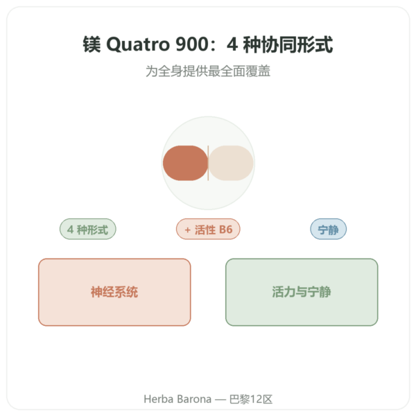 Magnesium Quatro 900 – Be-Life – 60 粒胶囊 产品展示 Paris Herba Barona