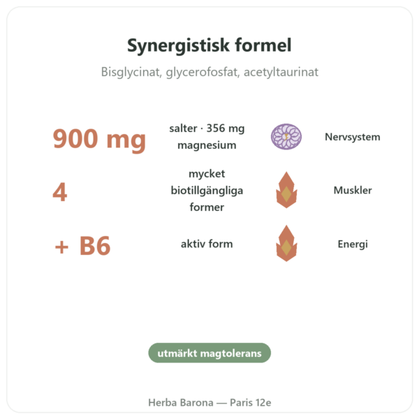Magnesium Quatro 900 – Be-Life – 60 kapslar fördelar och nyckelfakta Paris Herba Barona