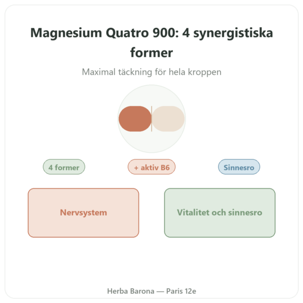 Magnesium Quatro 900 – Be-Life – 60 kapslar presentation Paris Herba Barona