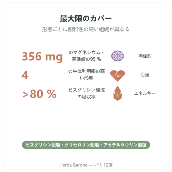 マグネシウム Quatro 900 – 90カプセル – Be-Life benefits and key facts Paris Herba Barona