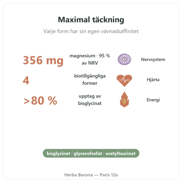 Magnesium Quatro 900 – 90 kapslar – Be-Life fördelar och nyckelfakta Paris Herba Barona