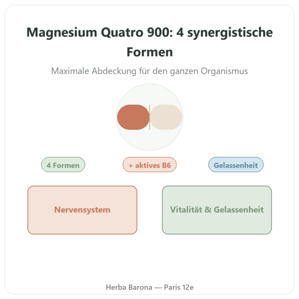 Magnesium Quatro 900 – Be-Life – 60 Kapseln Vorstellung Paris Herba Barona