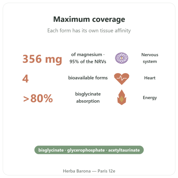 Magnesium Quatro 900 - 90 capsules - Be-Life benefits and key facts Paris Herba Barona