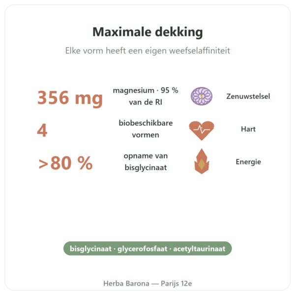 Magnesium Quatro 900 90 capsules Be-Life voordelen en kerngegevens Paris Herba Barona