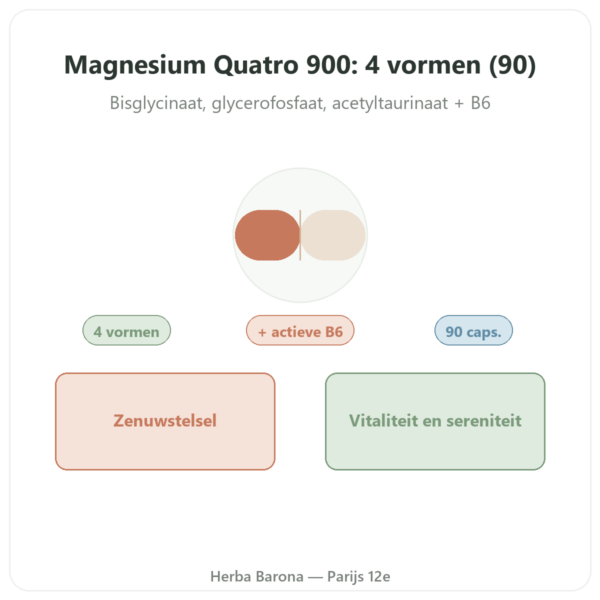 Magnesium Quatro 900 90 capsules Be-Life presentatie Paris Herba Barona