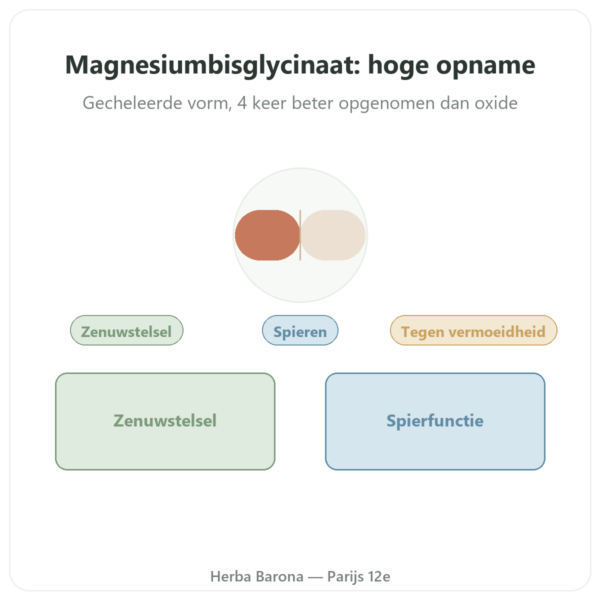 Magnesiumbisglycinaat Dynveo 60 Capsules presentatie Paris Herba Barona