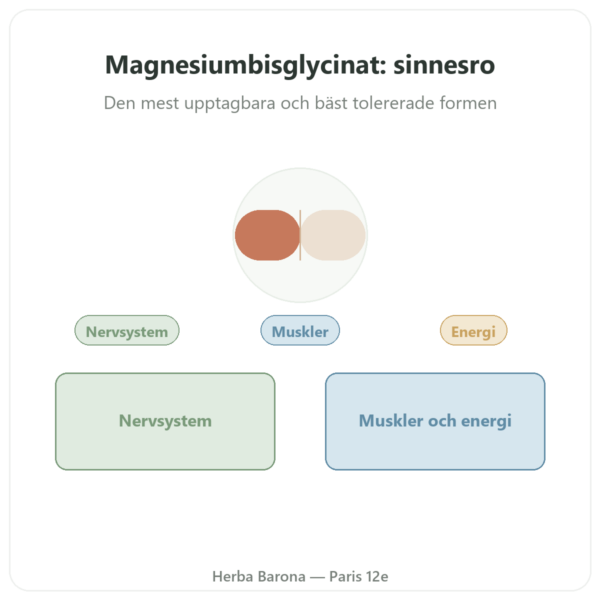 Magnesiumbisglycinat TRAACS® – 800 mg – 180 kapslar – Dynveo presentation Paris Herba Barona