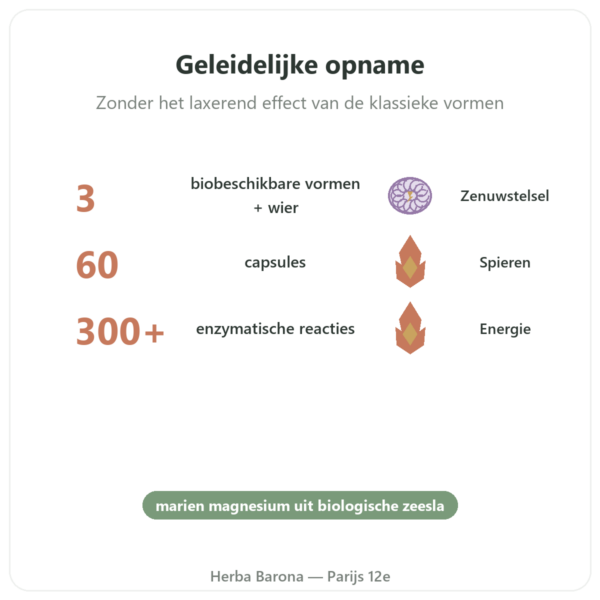 Magnesiumcomplex - Nutrimuscle - 60 capsules voordelen en kerngegevens Paris Herba Barona