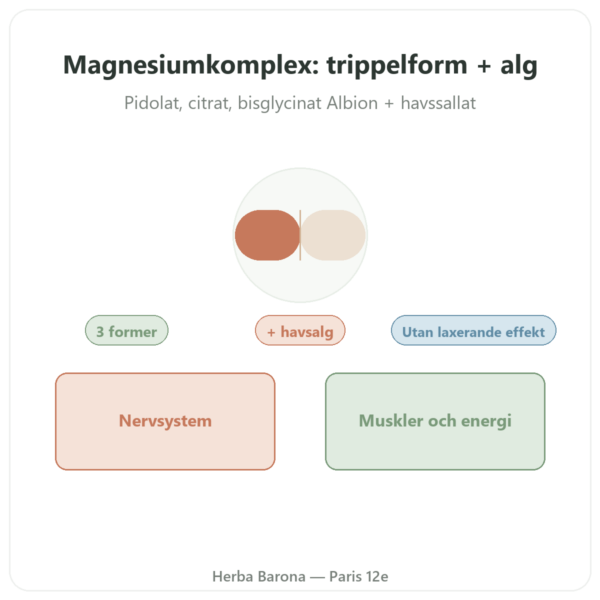 Magnesiumkomplex – Nutrimuscle – 60 kapslar presentation Paris Herba Barona