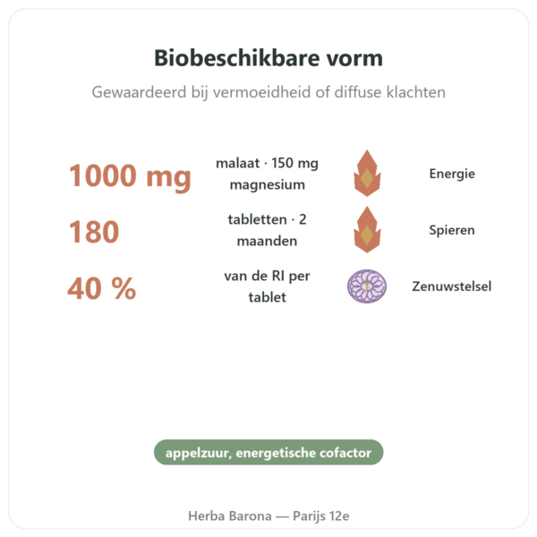 Magnesiummalaat 1000 mg – Now Foods – 180 tabletten voordelen en kerngegevens Paris Herba Barona