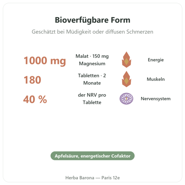 Magnesiummalat 1000 mg – Now Foods – 180 Tabletten Vorteile und Fakten Paris Herba Barona