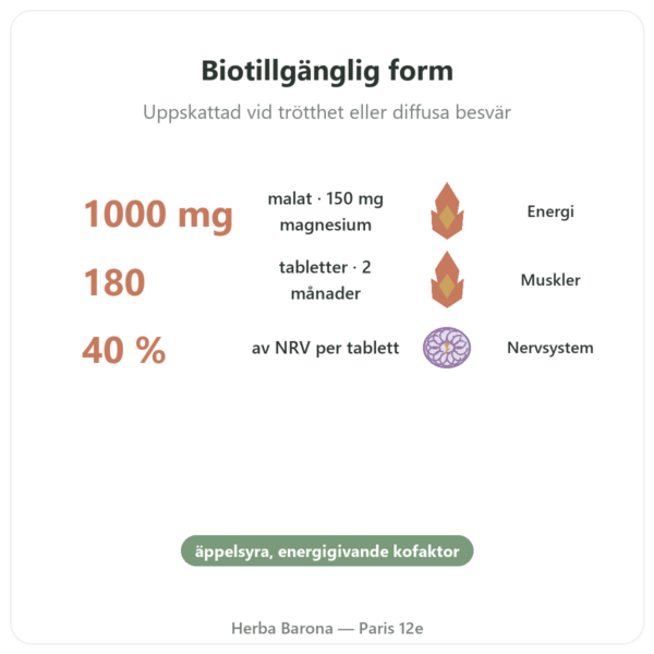 Magnesiummalat 1000 mg – Now Foods – 180 tabletter fördelar och nyckelfakta Paris Herba Barona