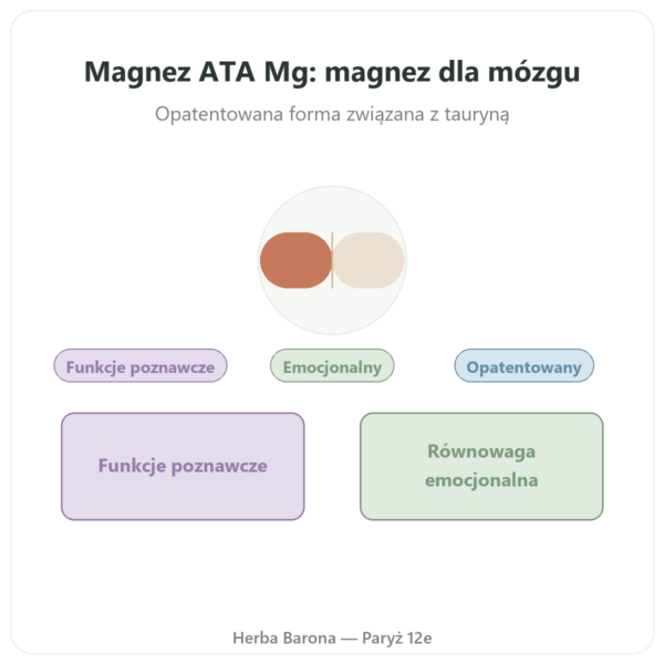 Magnez Acetylo-Taurynian ATA Mg – 60 Kapsułek – Dynveo prezentacja Paris Herba Barona