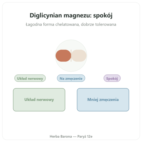 Magnez BISGLICYNIAN w proszku 250 g – Dynveo prezentacja Paris Herba Barona