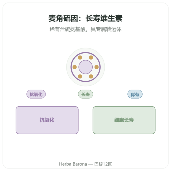 纯麦角硫因 ErgoActive – Dynveo – 60粒胶囊 产品展示 Paris Herba Barona
