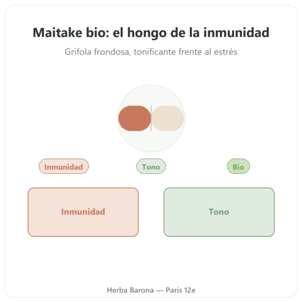 Maitake BIO – Dynveo – 20% beta-glucanos – 500mg – 60 cápsulas presentación Paris Herba Barona