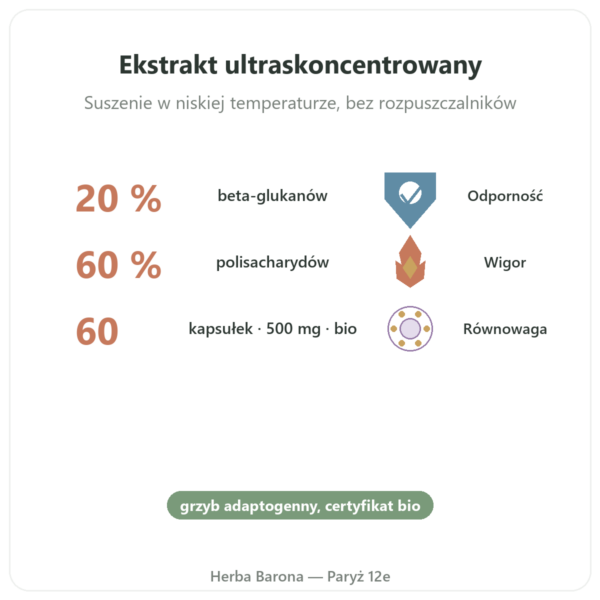 Maitake bio – Dynveo – 20% beta-glukanów – 500mg korzyści i najważniejsze fakty Paris Herba Barona