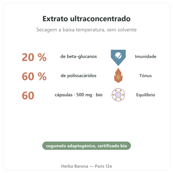 Maitake bio Dynveo 20% Beta-glucanos 500mg 60 cápsulas benefícios e dados principais Paris Herba Barona