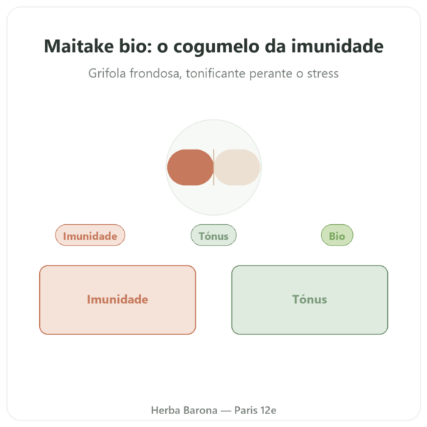 Maitake bio Dynveo 20% Beta-glucanos 500mg 60 cápsulas apresentação Paris Herba Barona