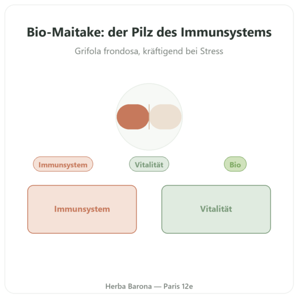 Maitake Bio 20 % Betaglucane – Dynveo – 500 mg – 60 Kapseln Vorstellung Paris Herba Barona