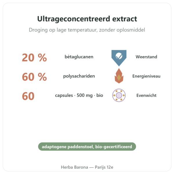 Maitake bio 500 mg 60 capsules – Dynveo voordelen en kerngegevens Paris Herba Barona
