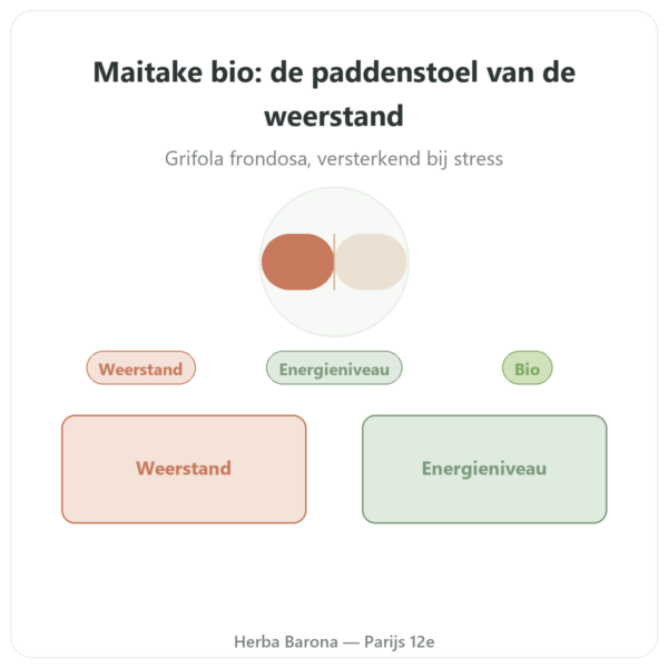 Maitake bio 500 mg 60 capsules – Dynveo presentatie Paris Herba Barona