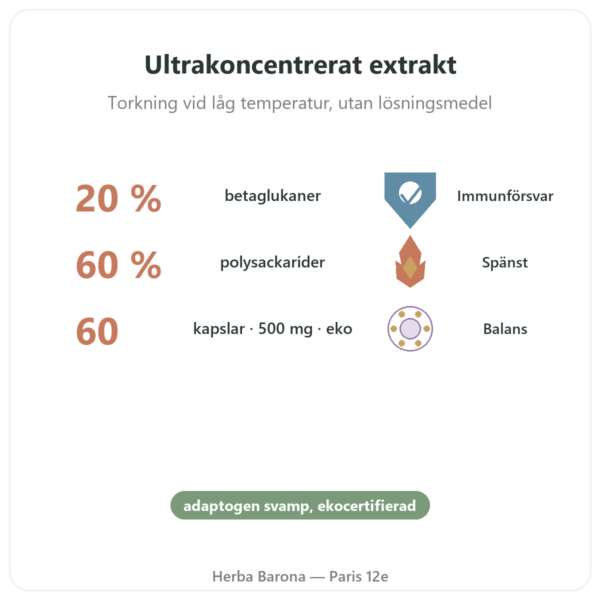 Maitake eko – Dynveo – 20 % betaglukaner – 500 mg – 60 kapslar fördelar och nyckelfakta Paris Herba Barona