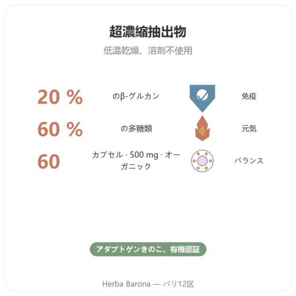オーガニック マイタケ – Dynveo – βグルカン20% – 500mg – 60カプセル benefits and key facts Paris Herba Barona
