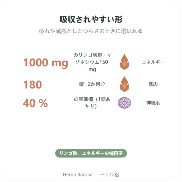 リンゴ酸マグネシウム 1000 mg – Now Foods – 180錠 benefits and key facts Paris Herba Barona