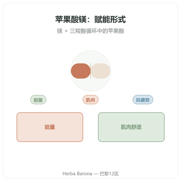 Now Foods 苹果酸镁 1000毫克 – 180粒 产品展示 Paris Herba Barona