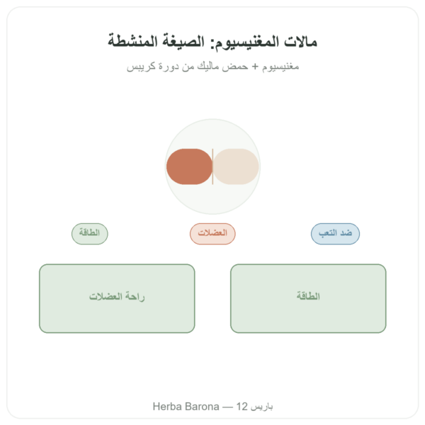 مالات المغنيزيوم 1000 ملغ – Now Foods – 180 قرص عرض المنتج Paris Herba Barona