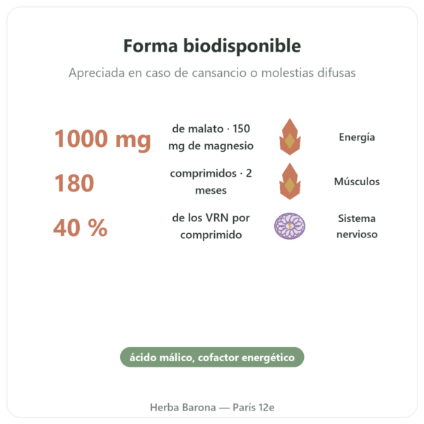 Malato de Magnesio 1000 mg – NOW Foods – 180 Comprimidos beneficios y datos clave Paris Herba Barona