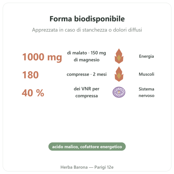 Malato di Magnesio 1000 mg – NOW Foods – 180 Compresse benefici e dati chiave Paris Herba Barona