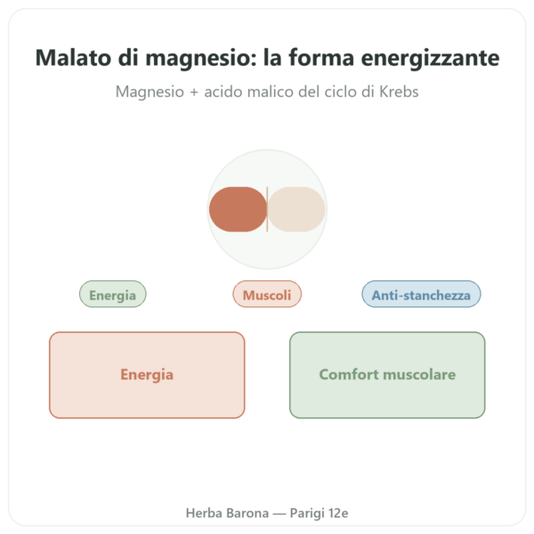 Malato di Magnesio 1000 mg – NOW Foods – 180 Compresse presentazione Paris Herba Barona