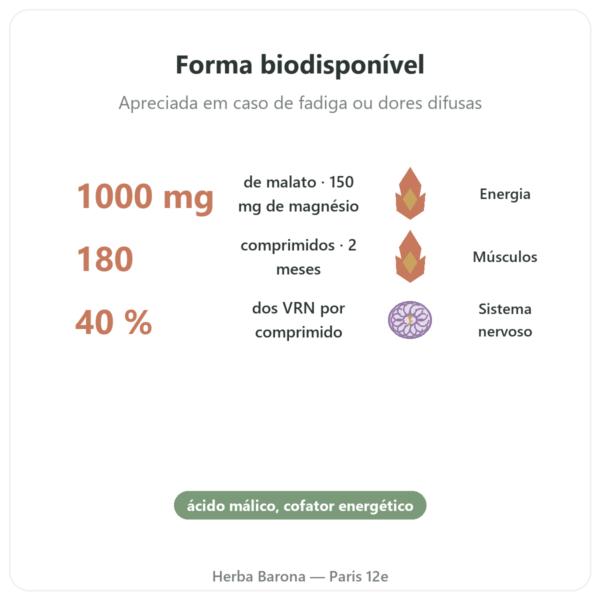 Malato de Magnésio 1000 mg – Now Foods – 180 comprimidos benefícios e dados principais Paris Herba Barona