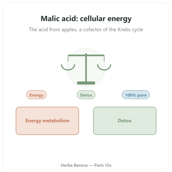 Malic Acid Powder 500 g - Nature et Partage presentation Paris Herba Barona