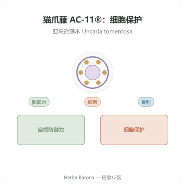 猫爪藤 AC-11® – Dynveo – 350 mg – 60 粒胶囊 产品展示 Paris Herba Barona