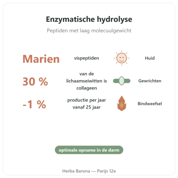 Mariene Collageen Capsules Hydrolysaat voordelen en kerngegevens Paris Herba Barona