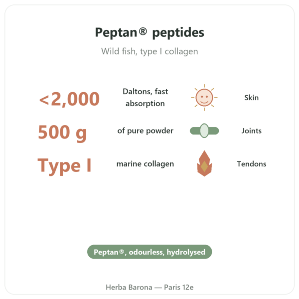 Marine Collagen Peptides - Peptan - Dynveo - 500 g Powder benefits and key facts Paris Herba Barona