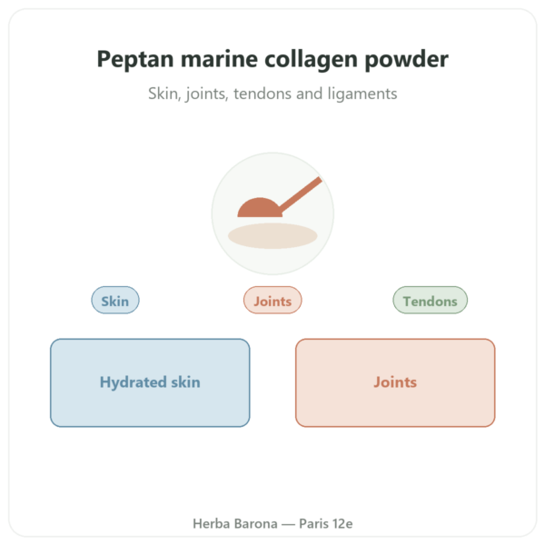 Marine Collagen Peptides - Peptan - Dynveo - 500 g Powder presentation Paris Herba Barona