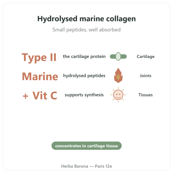 Marine Collagen Type II – Vital Osmose – capsules benefits and key facts Paris Herba Barona