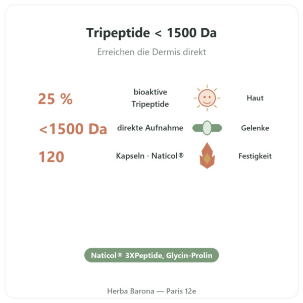 Marines Kollagen Naticol® 3XPeptide – Dynveo – 120 Kapseln Vorteile und Fakten Paris Herba Barona
