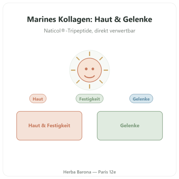 Marines Kollagen Naticol® 3XPeptide – Dynveo – 120 Kapseln Vorstellung Paris Herba Barona