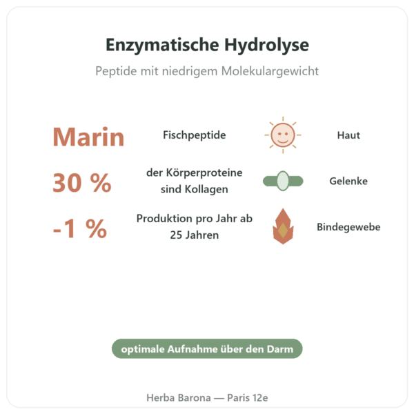 Marines Kollagen hydrolysiert in Kapseln Vorteile und Fakten Paris Herba Barona