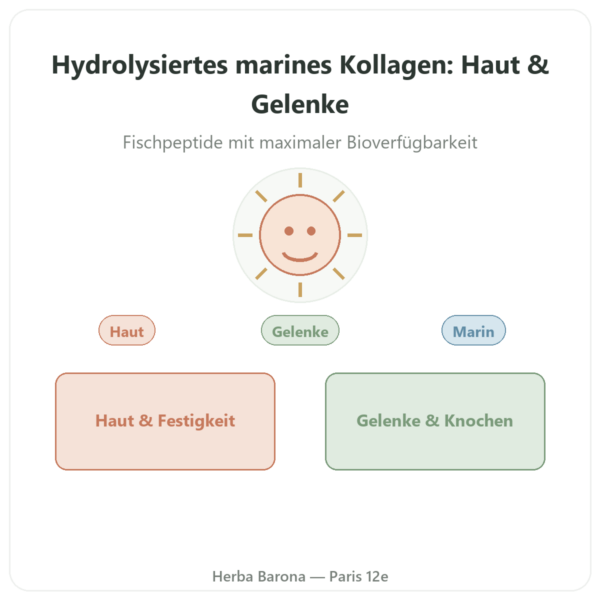 Marines Kollagen hydrolysiert in Kapseln Vorstellung Paris Herba Barona