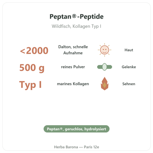 Marines Kollagen Peptan® Pulver – Dynveo Vorteile und Fakten Paris Herba Barona