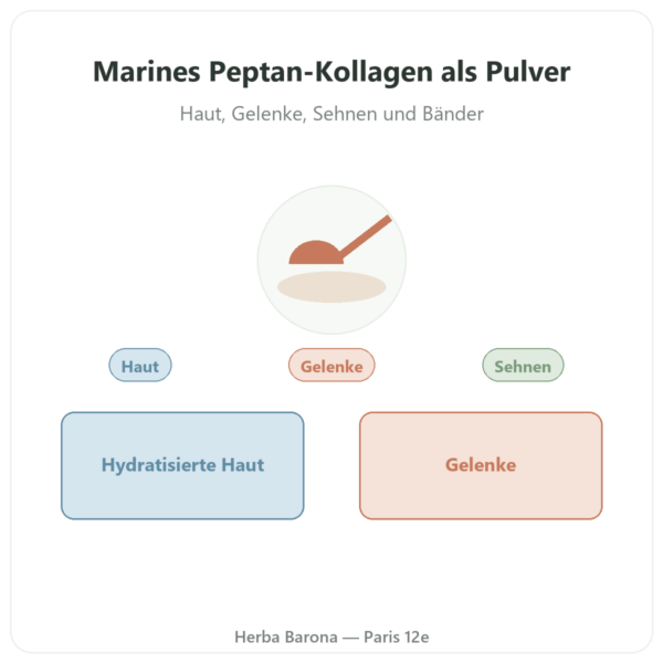 Marines Kollagen Peptan® Pulver – Dynveo Vorstellung Paris Herba Barona