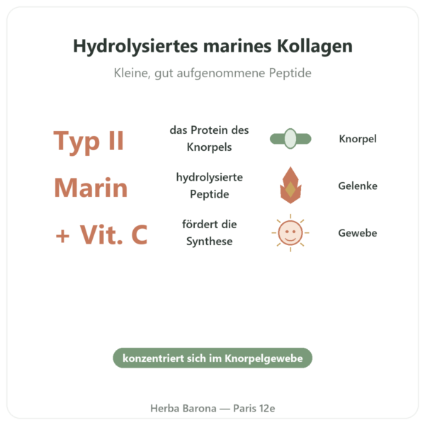 Marines Kollagen Typ II – Vital Osmose – Kapseln Vorteile und Fakten Paris Herba Barona